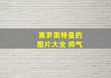 赛罗奥特曼的图片大全 帅气